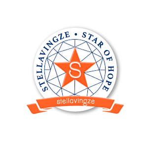 STZ Division Logo DS-05